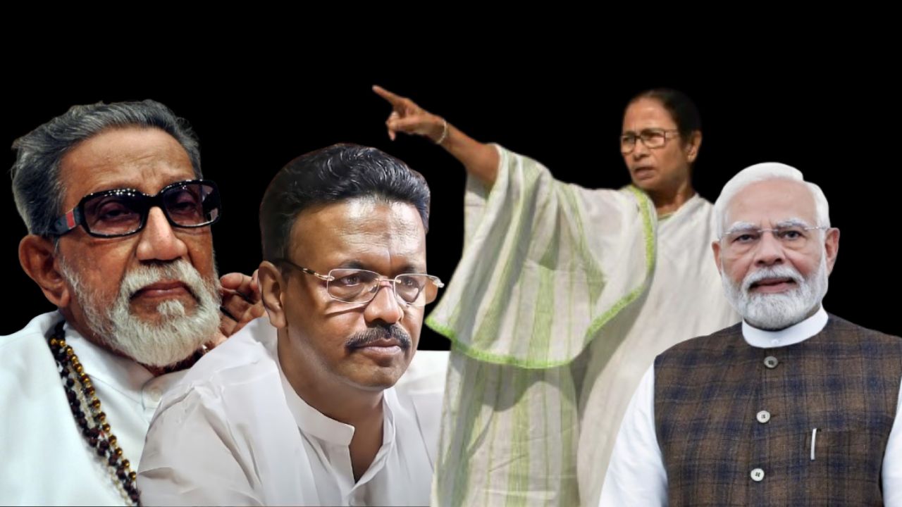 Language politics for votes