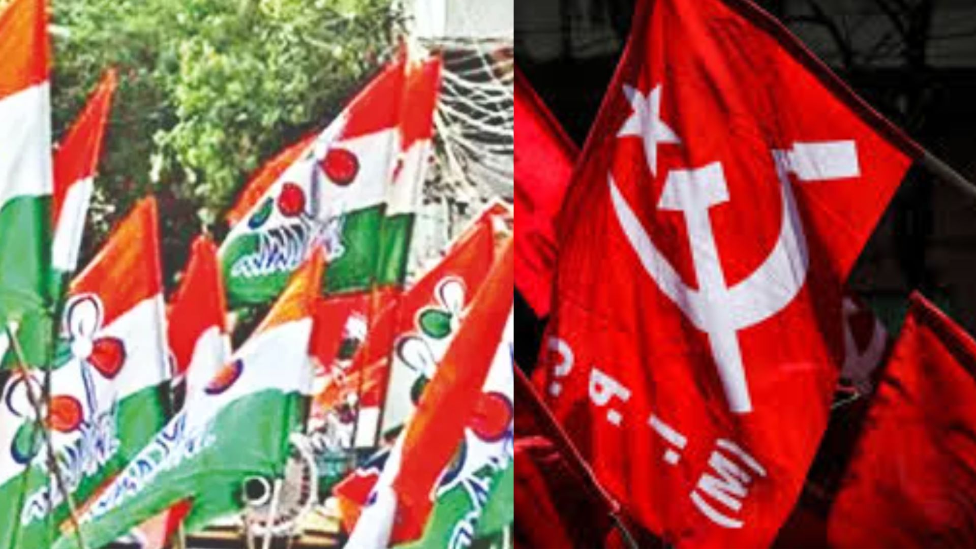 tmc-cpim alliance