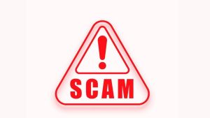 ladki bahin yojana scam