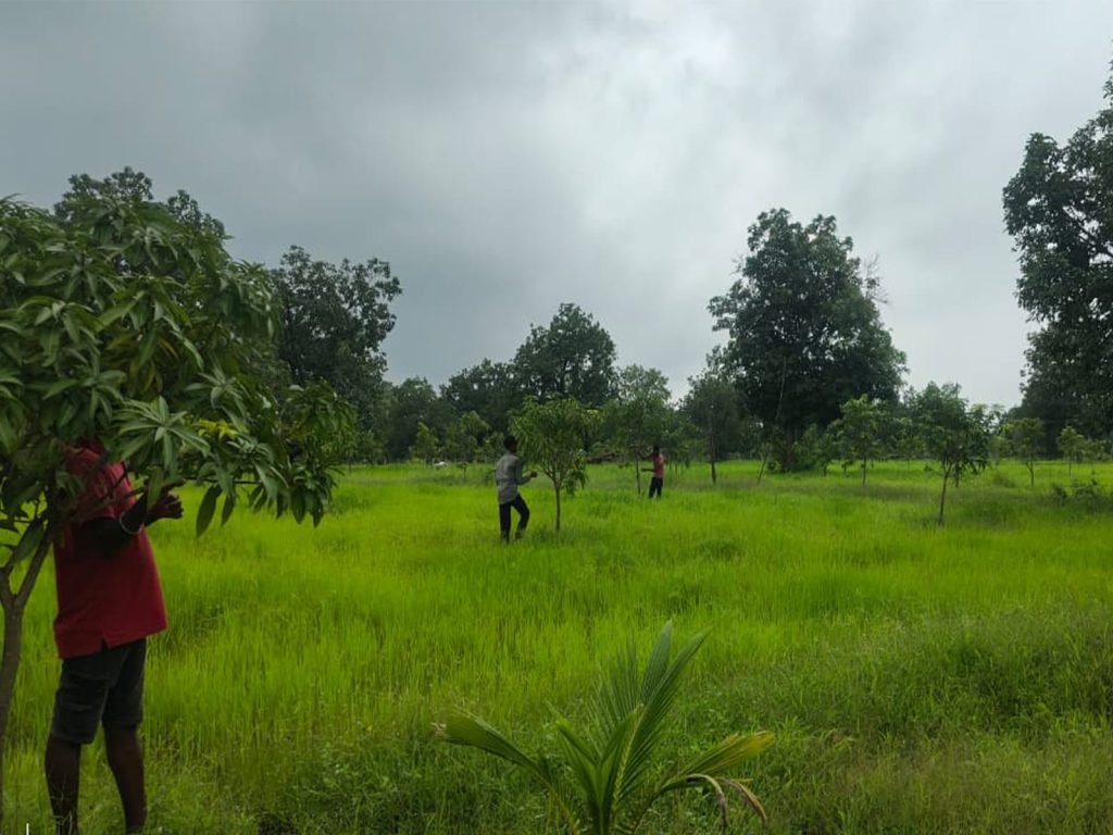 Aam Bagicha Project