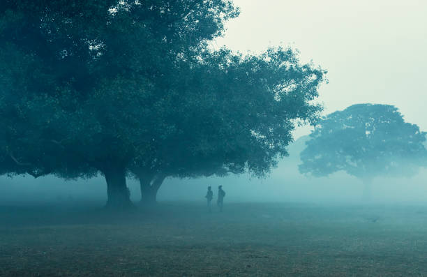 West Bengal weather forecast