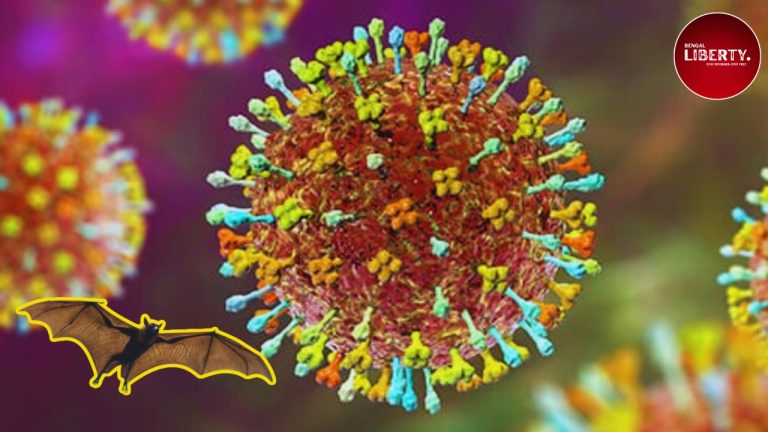 Nipah Virus
