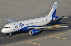 Indigo