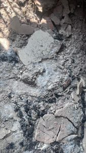 (Anandapur fire incident)