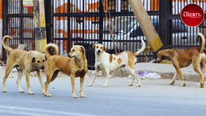 Sharmila Tagore- SC stray dog case