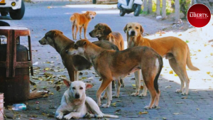 Sharmila Tagore- SC stray dog case