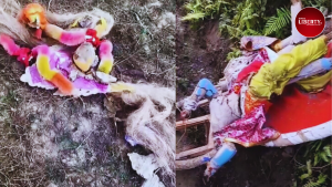 Hindu Idol Vandalism in Maldah