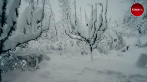 Snowfall in Kashmir