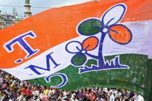 TMC financial report 2025