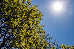 Weather Update 1 march