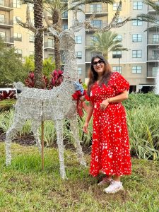 Probashe ghor konna vlog controversy