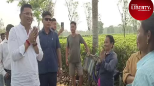 Dooars tea garden vote