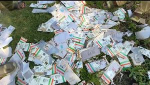 Aadhaar cards Found 