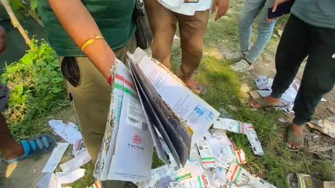 Aadhaar cards Found