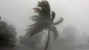 Weather Alert