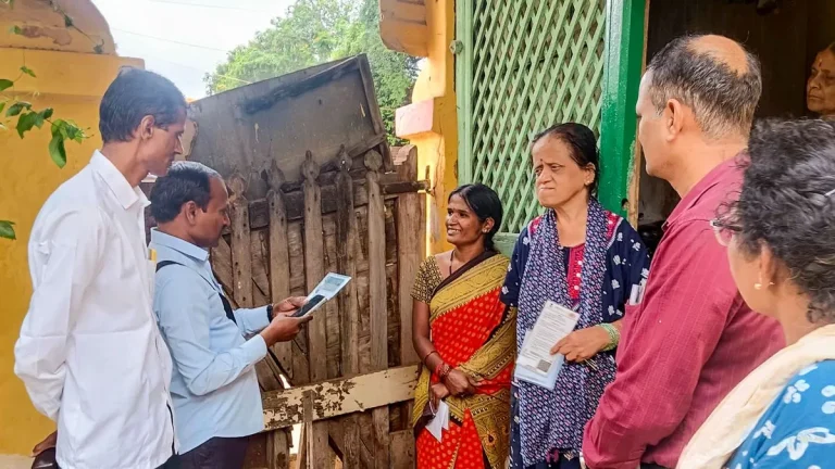 Self enumeration census