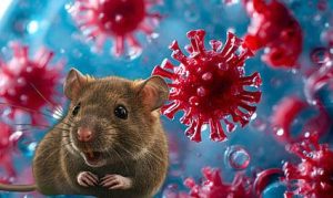 Hantavirus