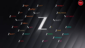 Zee Network Unite8 Sports channel