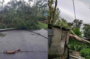 storm damage