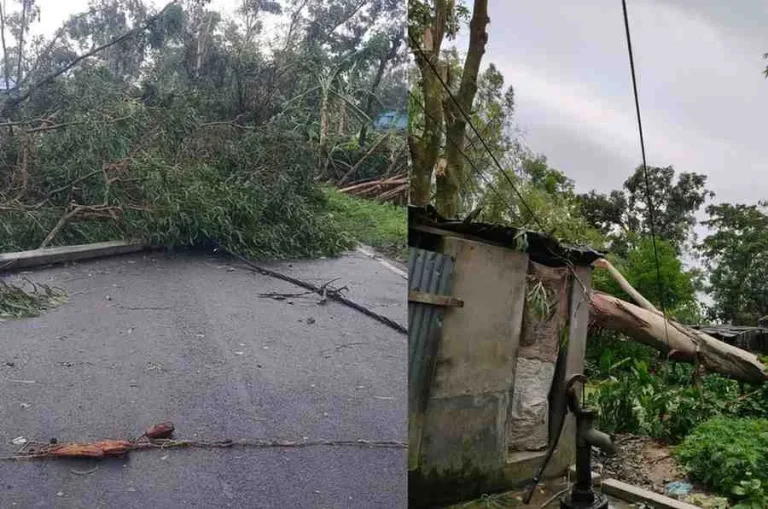 storm damage