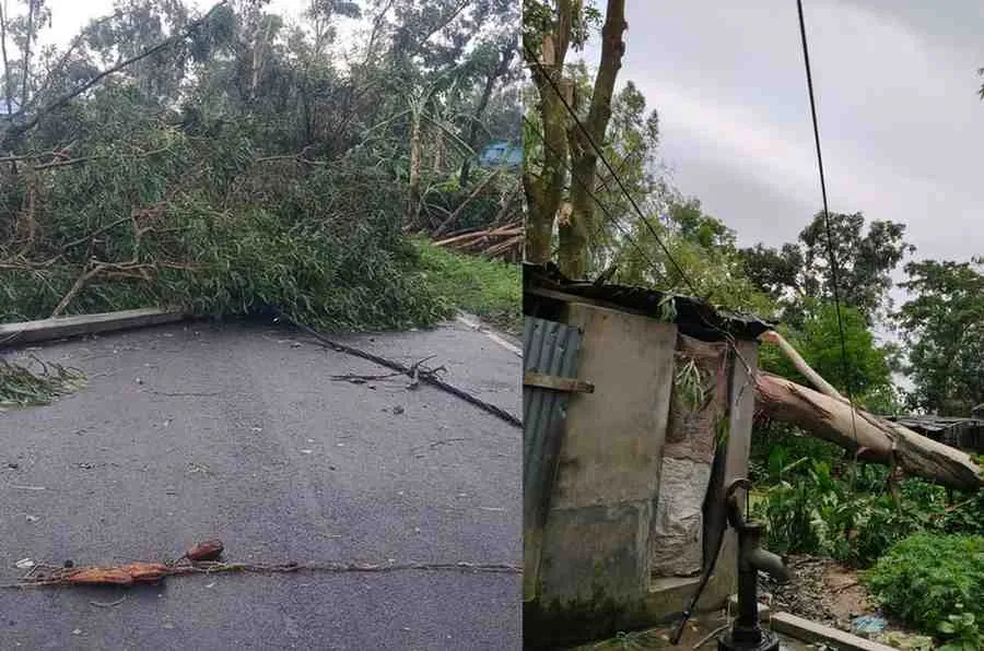 storm damage