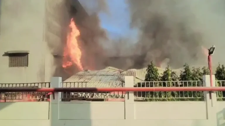 Topsia fire incident
