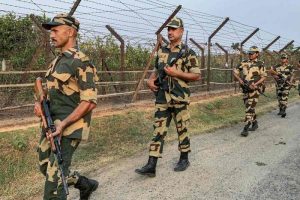 BSF border project