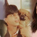 Shahrukh Gauri