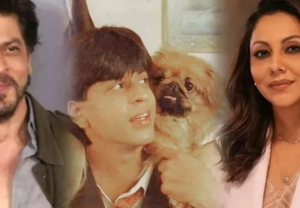 Shahrukh Gauri