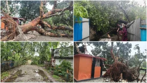 storm damage
