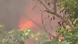 Alipore Fire : আলিপুর জেলা পরিষদ ভবনে অগ্নিকাণ্ড, কালো ধোঁয়ায় ঢাকল এলাকা 3 Alipore Fire