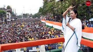 TMC Rally