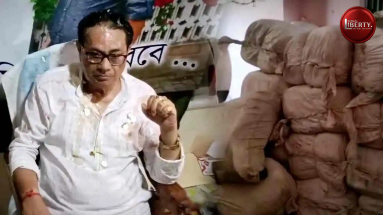 Ujjwal Biswas