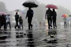 weather update: দক্ষিণবঙ্গে অস্বস্তি, উত্তরবঙ্গে ঢুকল বর্ষা 2 weather update