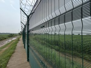 BSF