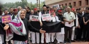 Parliament Protest