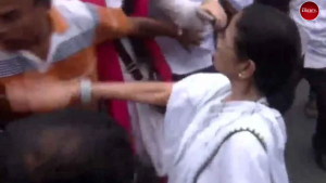 Mamata Banerjee: মিছিলের ভিড়ে কর্মীকে থাপ্পড়? ভিডিও ঘিরে বিতর্কে মমতা 2 Mamata Banerjee