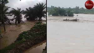 Shaal River Bridge
