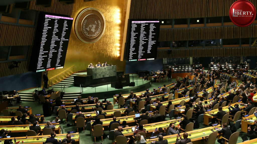 UN Election