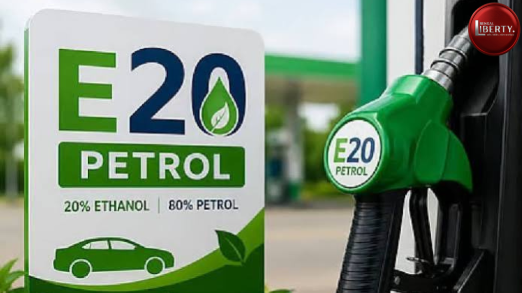 E20 Petrol